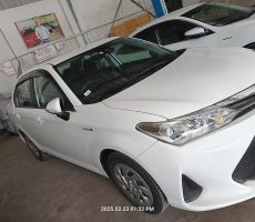 Axio car zaki motors